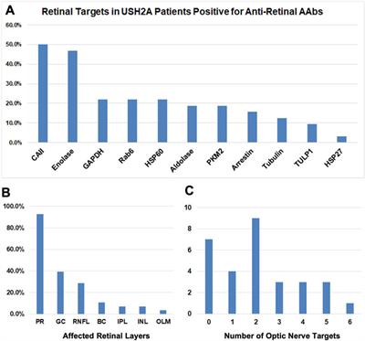 The double-edged sword of inflammation in inherited retinal degenerations: Clinical and preclinical evidence for mechanistically and prognostically impactful but treatable complications